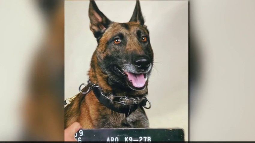 los angeles police k9 unit