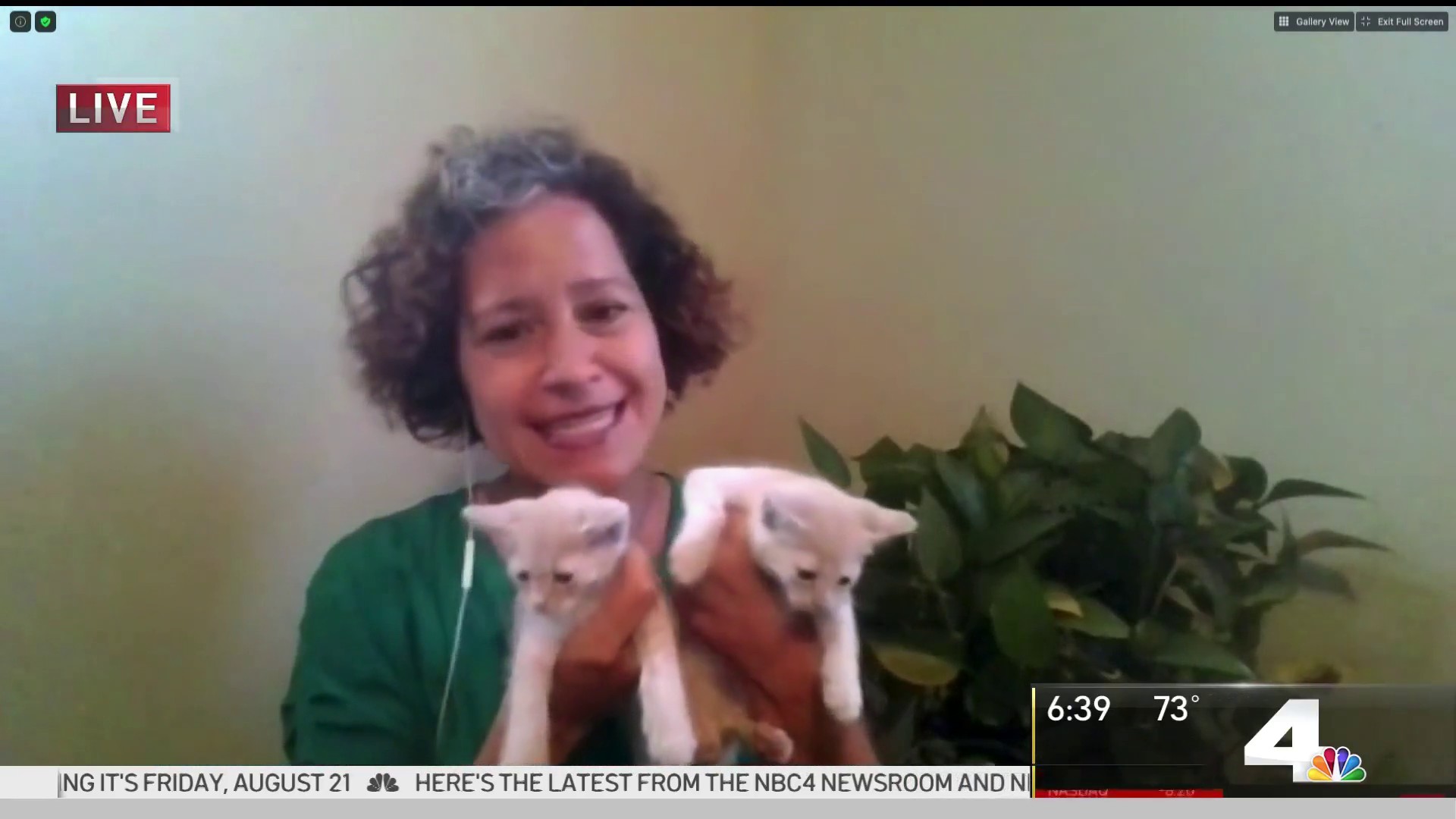 foster a puppy for a week