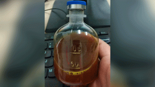 This August 2020, photo provided by a Uighur under quarantine shows a bottle of unidentified traditional Chinese medicine in Urumqi, China.