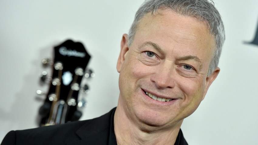 Gary Sinise attends the premiere of Lionsgate's "I Still Believe" at ArcLight Hollywood.