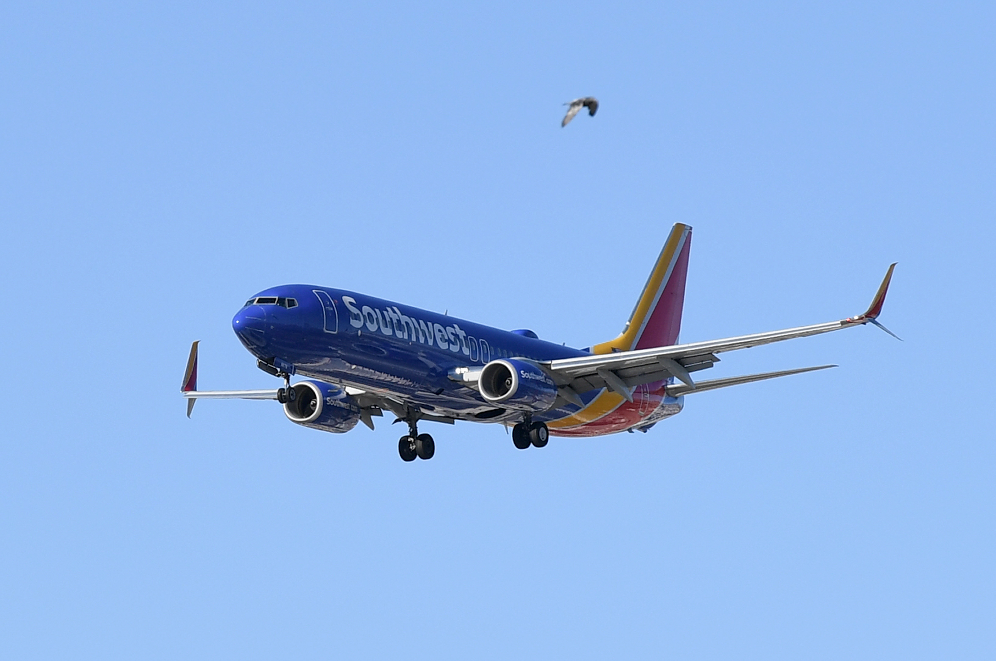southwest airlines colorado springs jobs