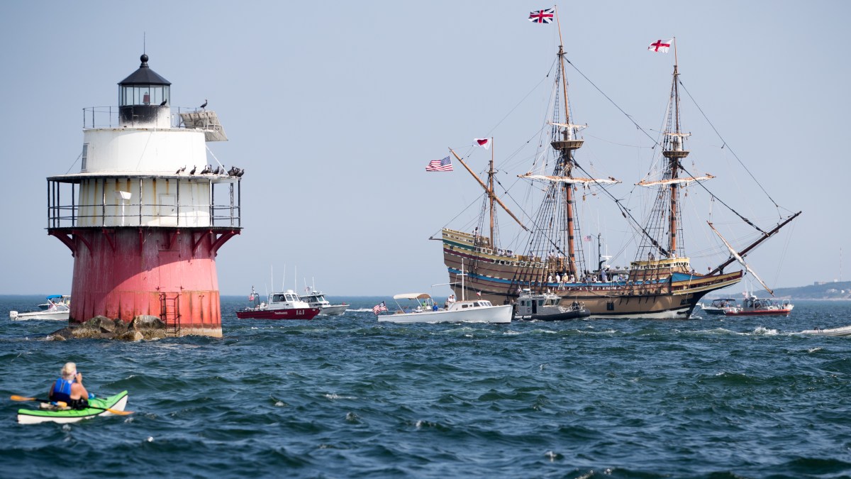 Mayflower projects for kids image