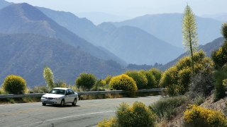 File photo: a motorist drives between flowers as a heavy wildflower bloom continues on the first day of summer along the Angeles Crest Highway on June 21, 2005, in the Angeles National Forest northwest of La Canada, California.