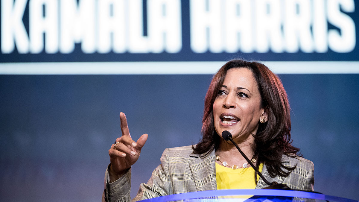 White House's Meadows Says He Accepts Harris Eligible for VP 1