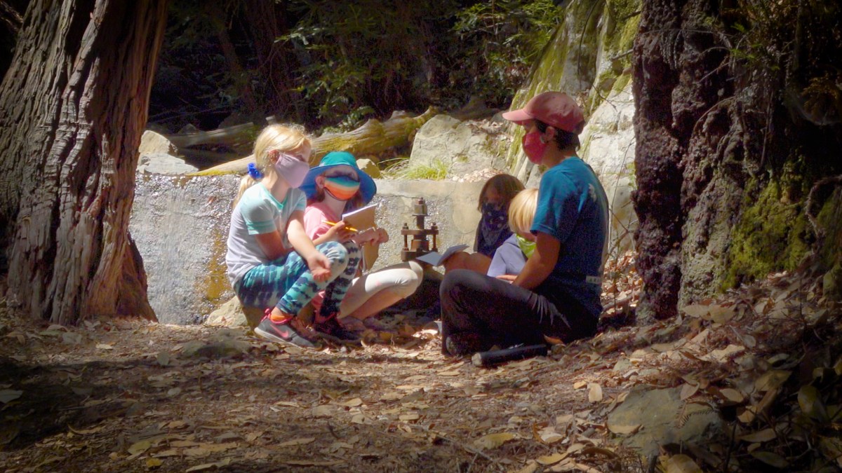 Pandemic Education See How Bay Area Schools Are Taking Classes