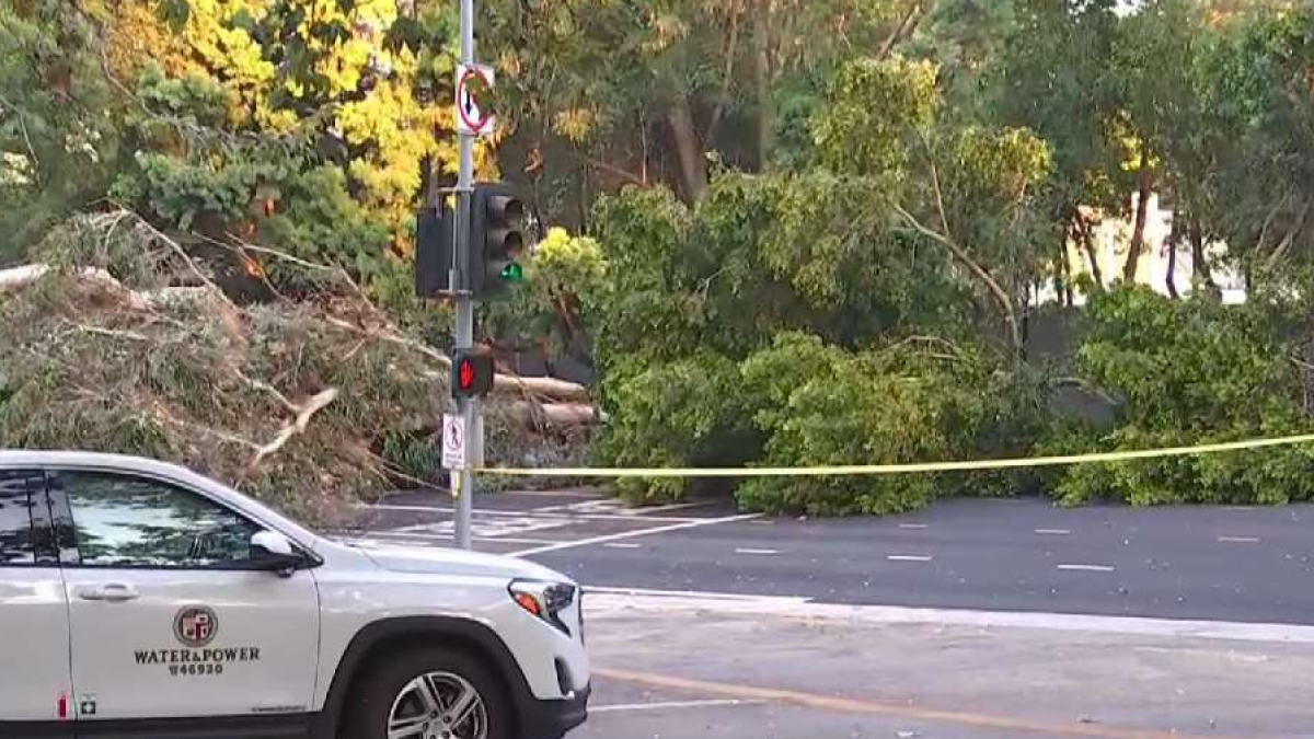 Large Water Main Break Near UCLA Forces Sunset Boulevard Closure in ...