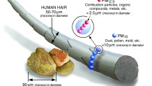 This graphic provided by the Environmental Protection Agency shows size comparison for particulate matter..