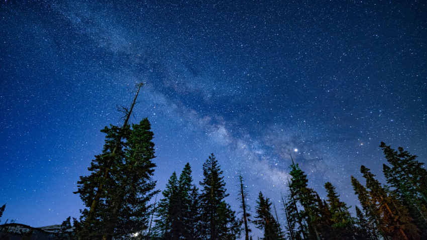 The Sequoia Dark Sky Fest Still Shines Online Nbc Los Angeles Dark Sky Festival 2022 Sequoia
