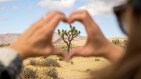 Visit a national park for free on National Public Lands Day