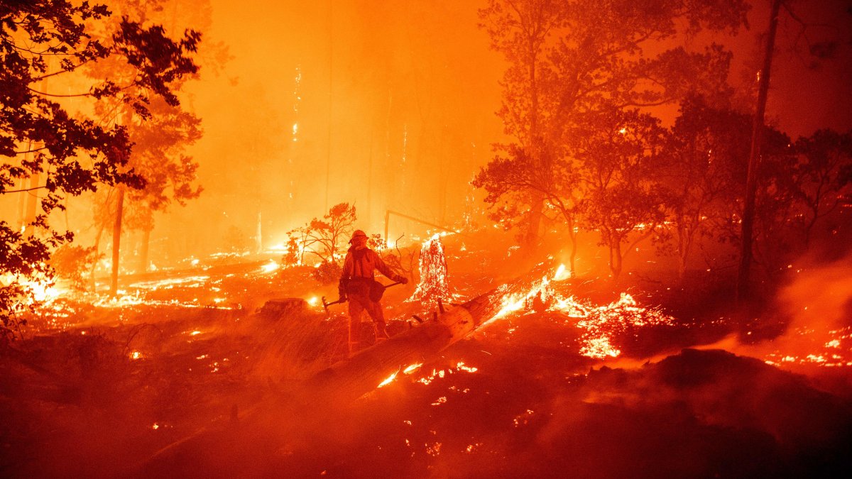 3 companies to pay M after fire sparked during gender reveal – NBC Los Angeles