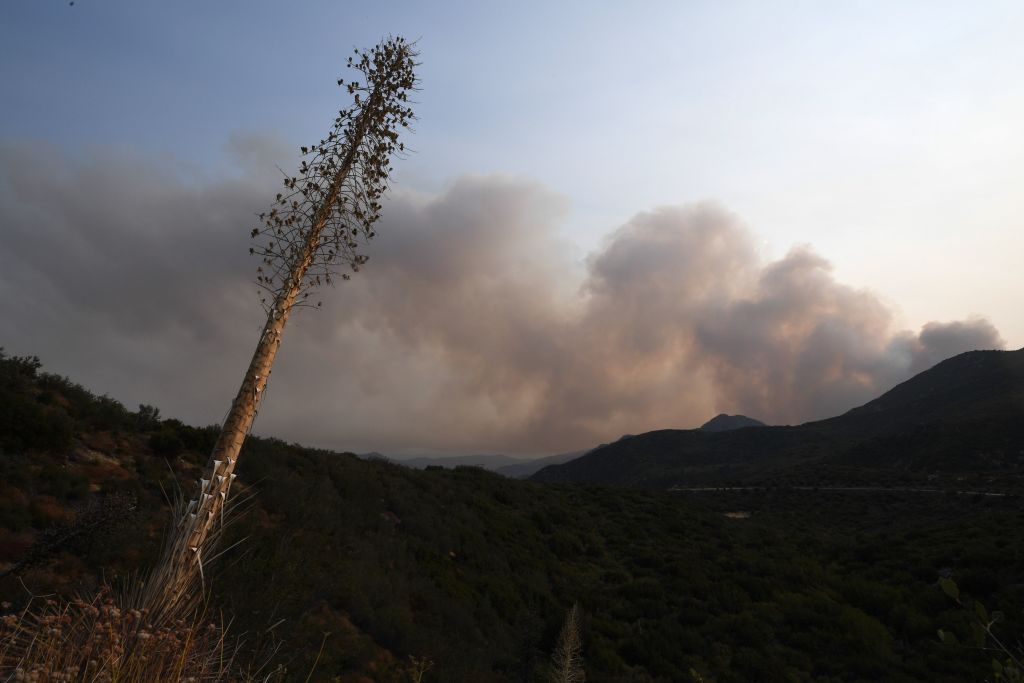 Smoke Advisory Extended as Bobcat Fire Continues to Burn in Angeles National Forest