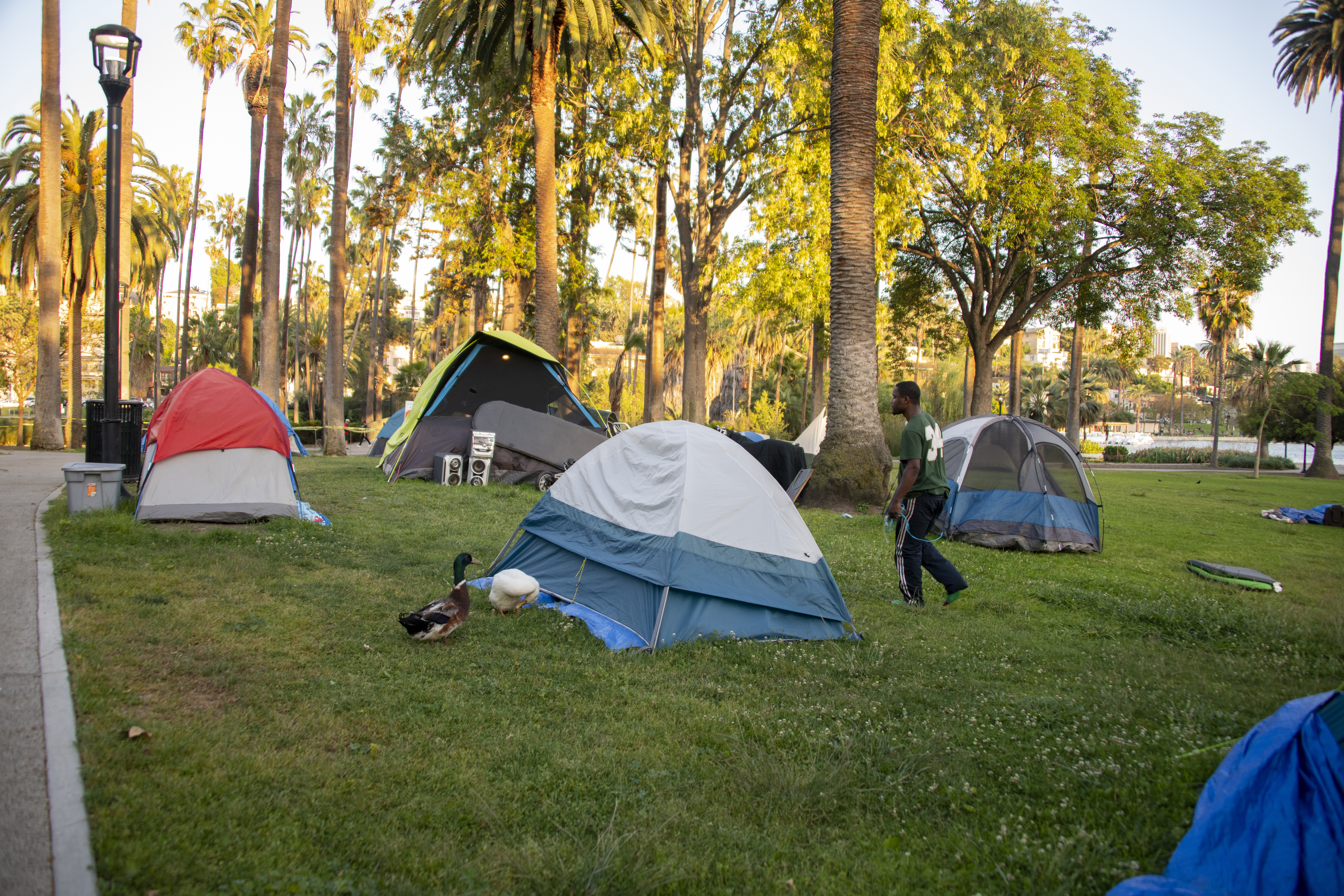 Echo Park Lake: Tall fences and no more homeless camps. Where are the  former residents now?