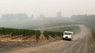 In this Sept. 16, 2020, file photo, a U.S. postal delivery vehicle drives past at a smoke-shrouded vineyard in Salem, Ore. Smoke from the West Coast wildfires has tainted grapes in some of the nation’s most celebrated wine regions. The resulting ashy flavor could spell disaster for the 2020 vintage.