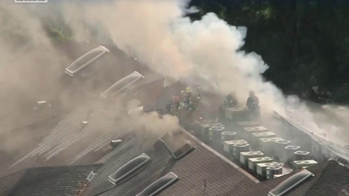 Two Dogs Killed in Pasadena Apartment Fire – NBC Los Angeles