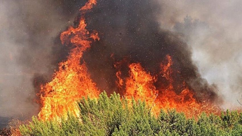 Sepulveda Basin Fire