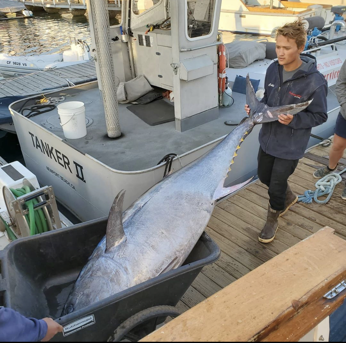 Giant Tuna Sets Record in Orange County – NBC Los Angeles