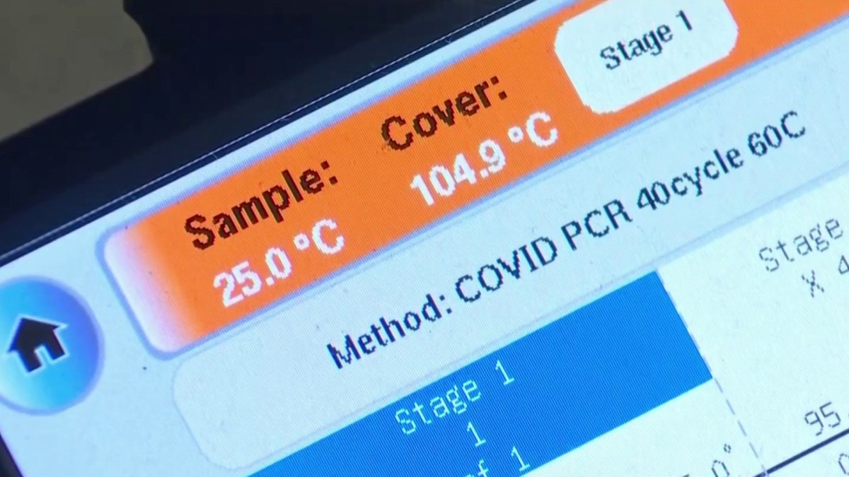 Understanding COVID19 Rapid Testing NBC Los Angeles