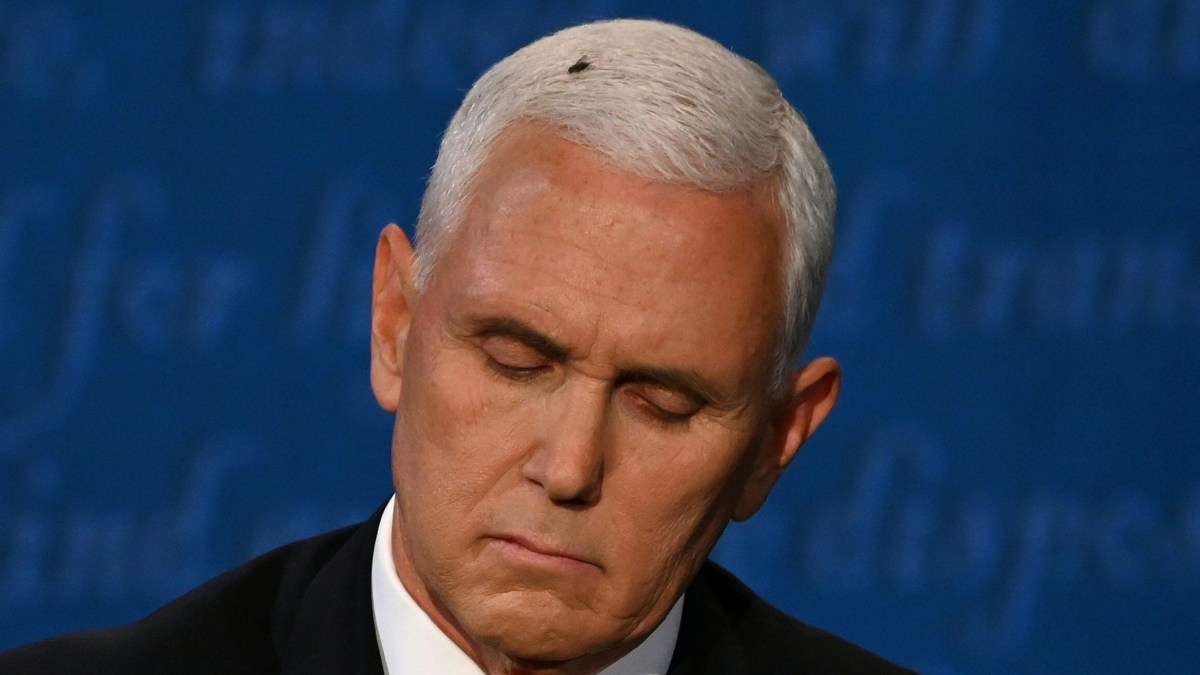 'The Flies Have It': Fly Lands on Pence's Hair During VP Debate 1