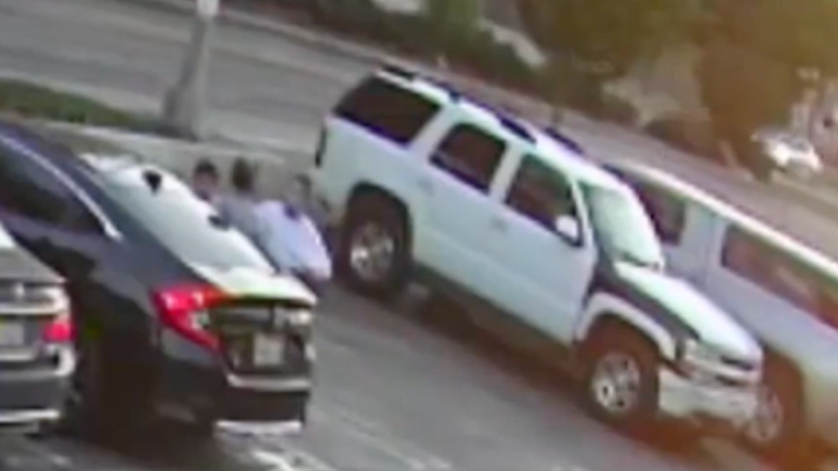 Woman Who Tried to Kidnap 2 Children in South LA Sought by Police NBC