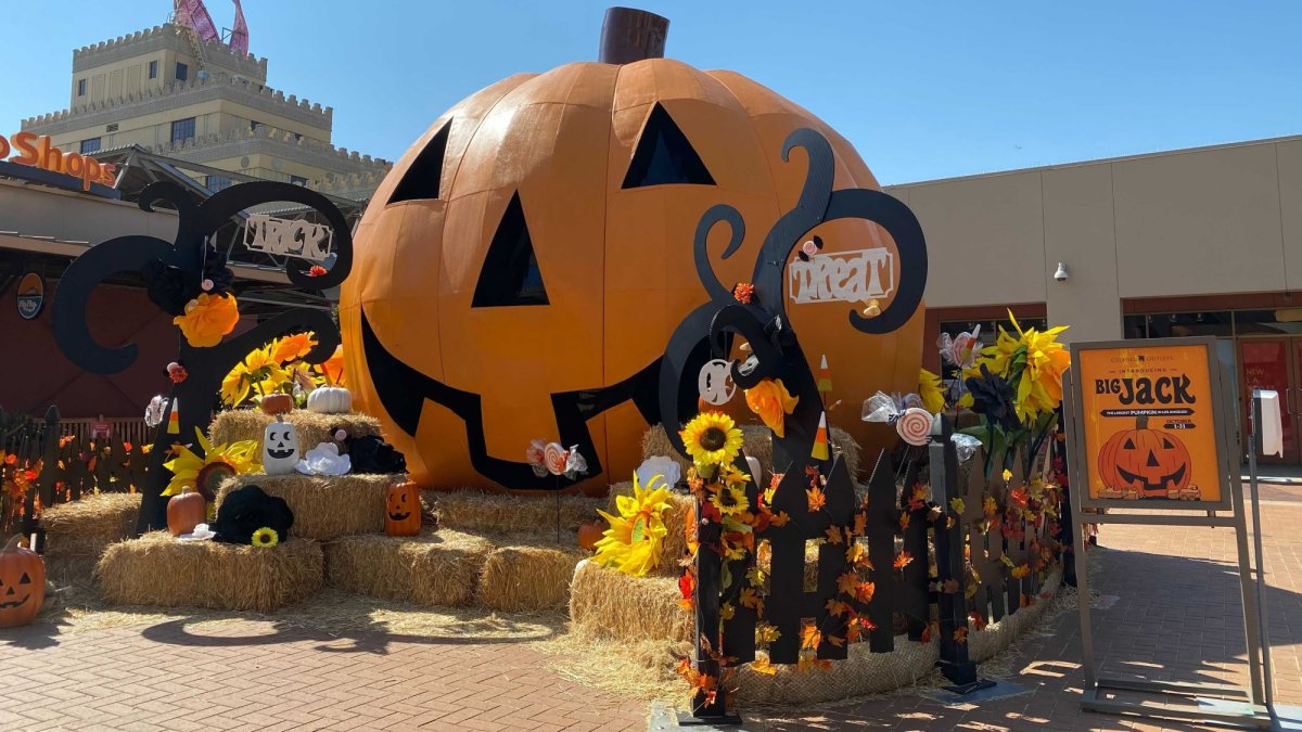 Big Jack' Is Adding Pumpkin Cheer to Fall Photo Opps – NBC Los Angeles