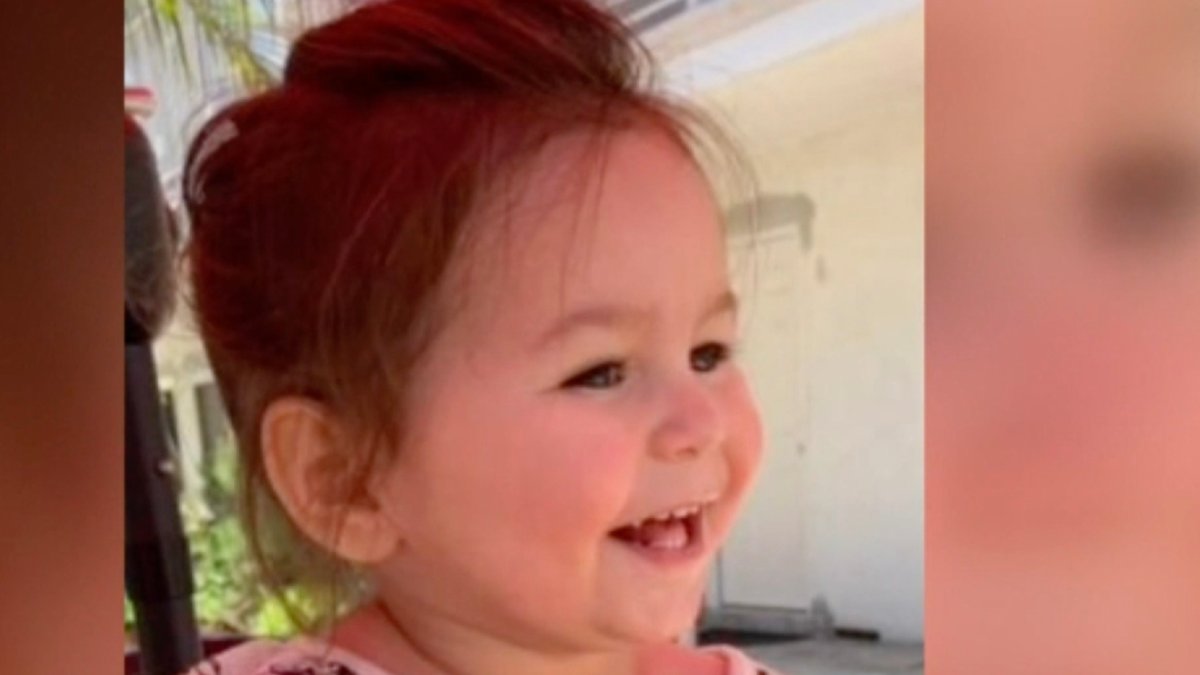 Mother Who Killed Toddler by Leaving Her in Car Overnight Sentenced to ...