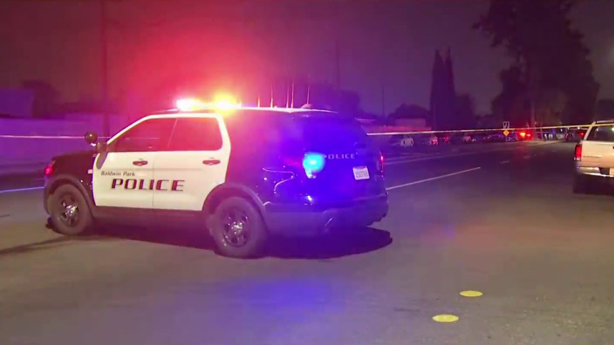 Police Search For HitandRun Driver Who Killed a Woman Pushing a Cart