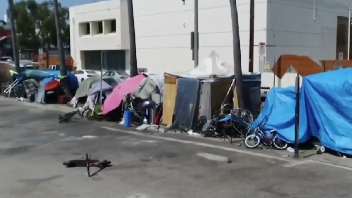 “McMansions” for the Homeless: Some LA Tents Are So Big They Have ...