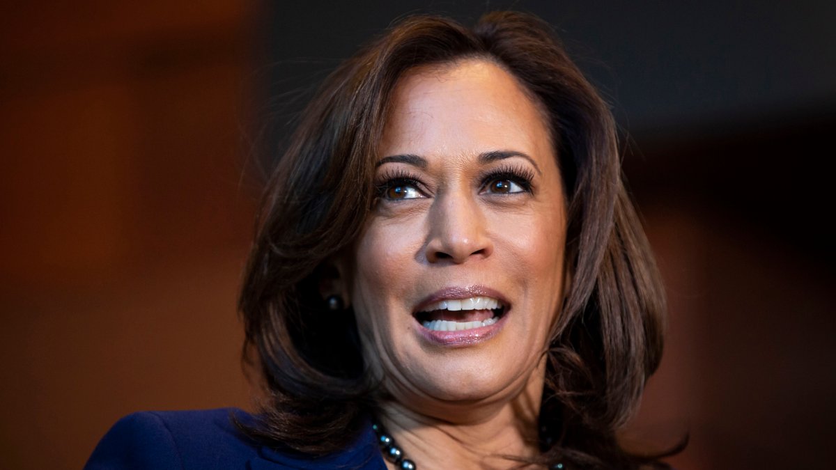 Alpha Kappa Alpha Sorority Celebrates Kamala Harris’ Historic Win NBC