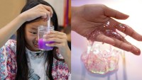 Slime Science Goes Online at the Natural History Museum
