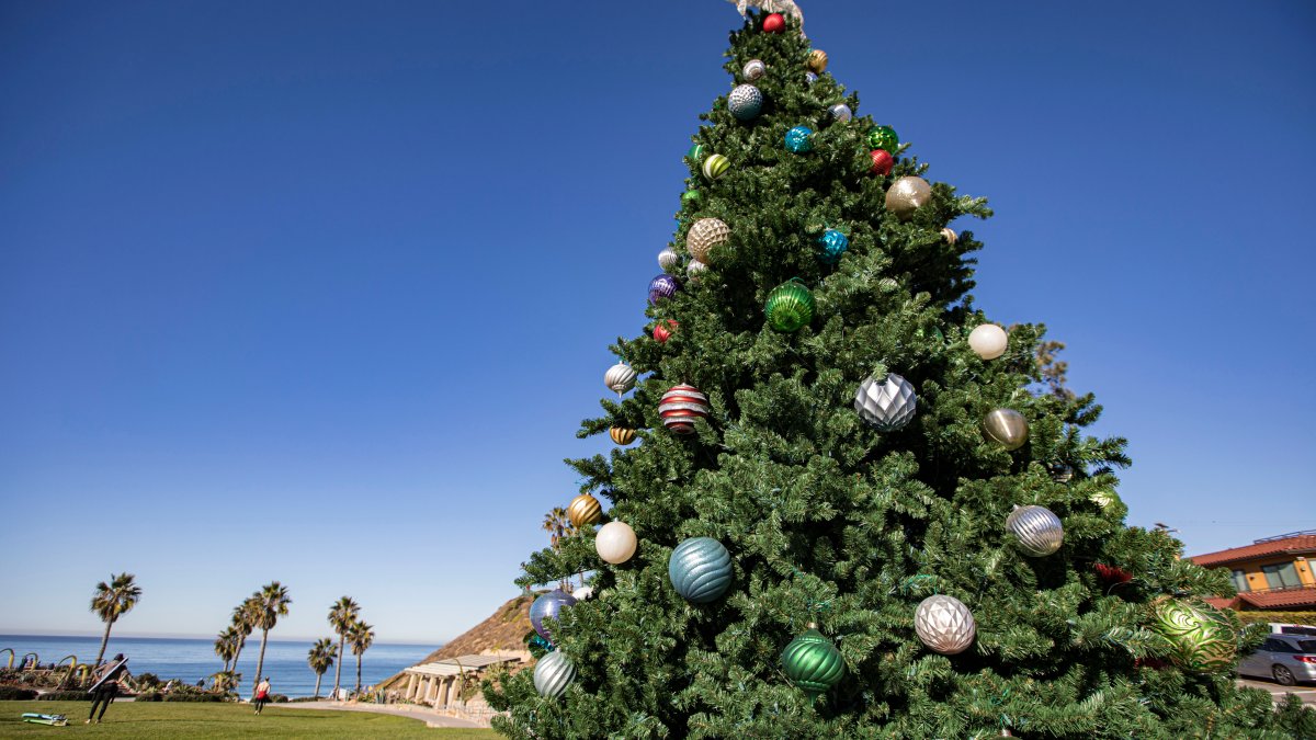 Christmas Spirit In The South Bay: Here are Cheerful Events to Check Out