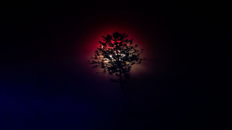 Wind and Red Flag Weather Drive Fires in Southern California Ahead of Holidays