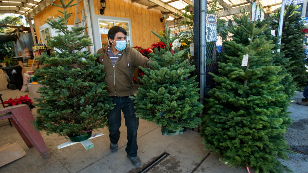 Need Some Motivation to Remove Your Christmas Tree? Here Are Some Fire