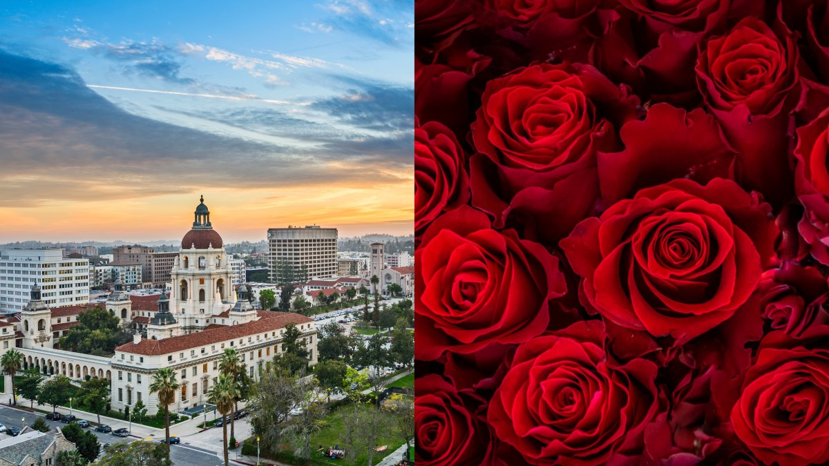Take a Virtual Walk of the Rose Parade Route NBC Los Angeles