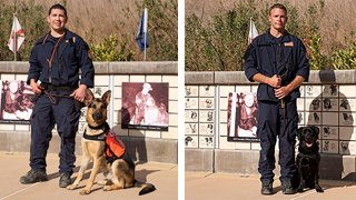 Nick Medina and Mattis (left) and John Paul "JP" Hilsabeck and Bond, both of California Task Force 2, Los Angeles County Fire Department, are pictured.