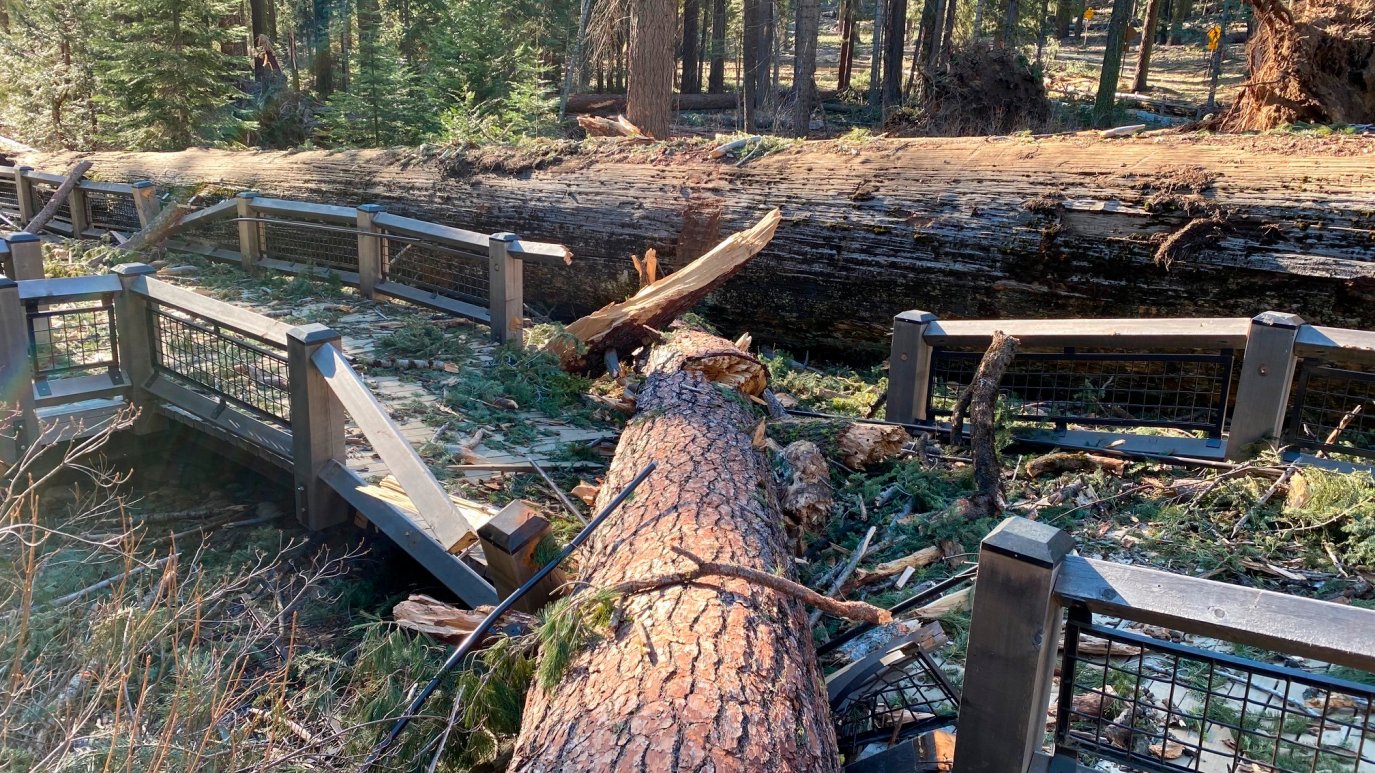 Yosemite National Park to Remain Closed After Wind Damage – NBC Los Angeles