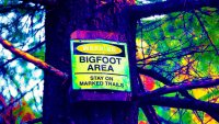 Ice Cream With Bigfoot: A Charming Willow Creek Fest to Stomp This Summer