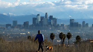 A person walks his dog with downtown LA in the background.