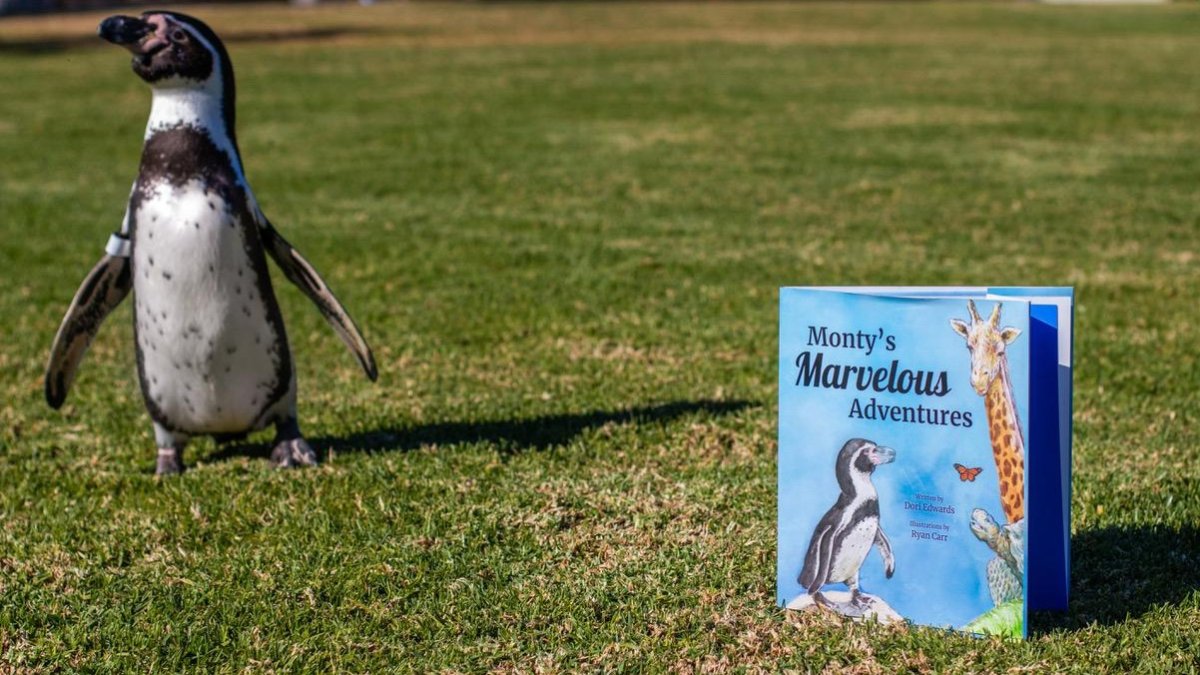 A Santa Barbara Bird Just Waddled Into His First Book NBC Los Angeles