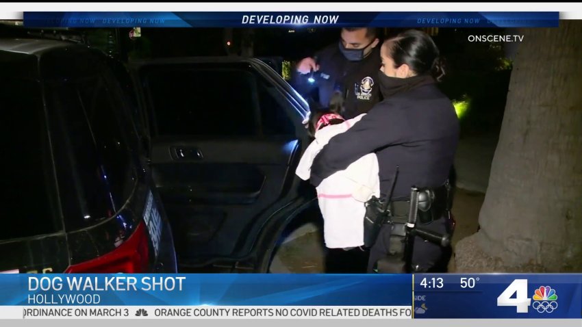 Dog Walker Shot by Thieves in Hollywood