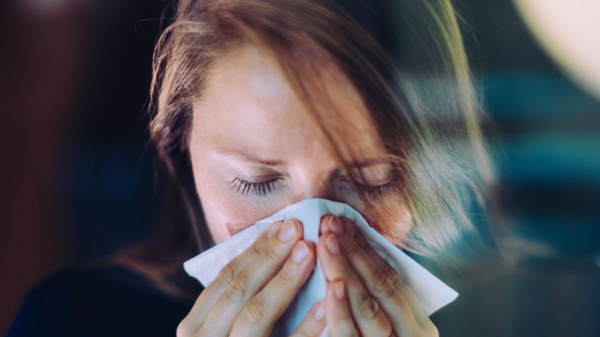 Why do we say 'bless you' when someone sneezes? – NBC Los Angeles - Vimarsana News