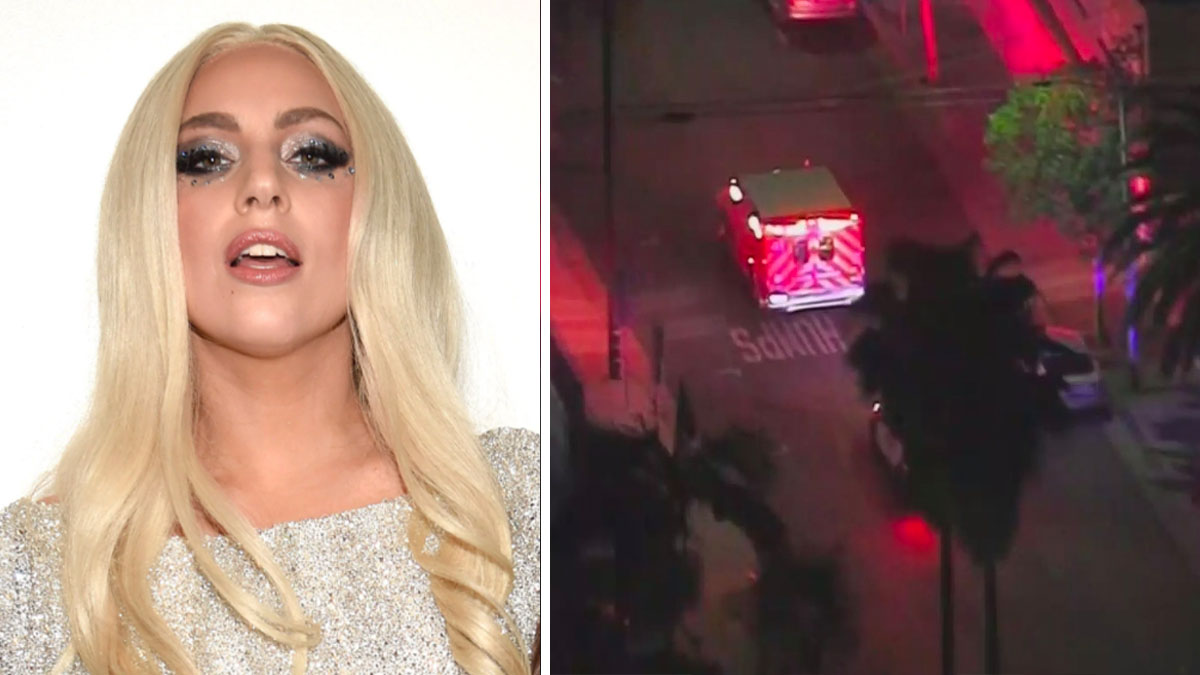 Lady Gaga’s Dogs Recovered Safely After Theft, Shooting NBC Los Angeles