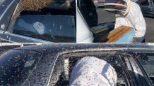 Las Cruces Fire Department firefighter Jesse Johnson clears an estimated 15,000 bees from a parked car in Las Cruces, New Mexico, on March 28, 2021.