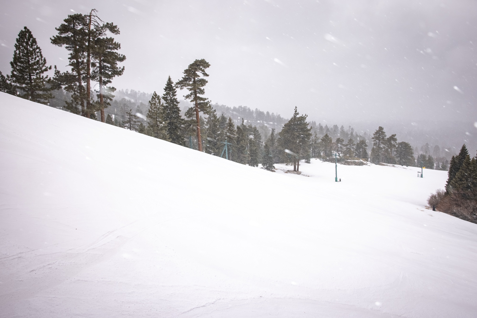 What's to come? There's more snowfall coming up "early next week," so keep a keen eye on the mountain's weather around March 8 and 9.