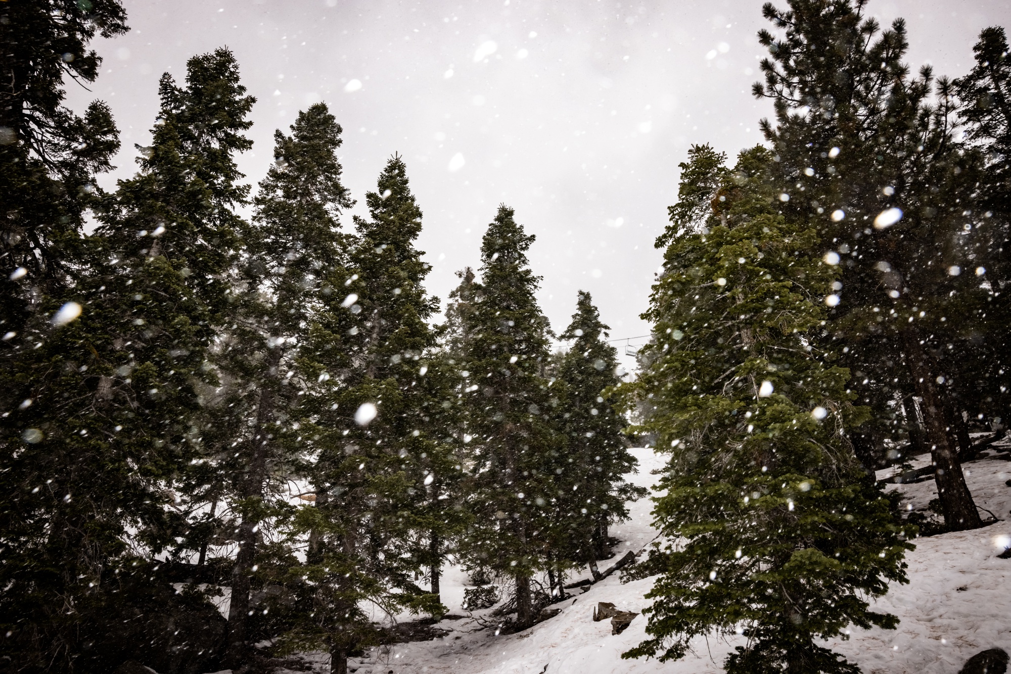 The season snowfall total is 107 inches.