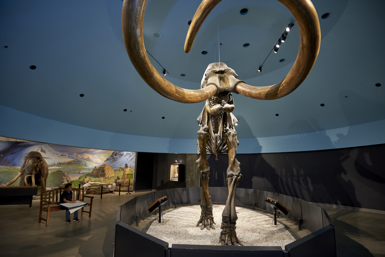 The <a href="https://tarpits.org/">La Brea Tar Pits Museum</a> reopened on April 8. Travel back in local time at the "Mammoths & Mastodons" exhibit and check out what paleontologists are studying at the Fossil Lab.