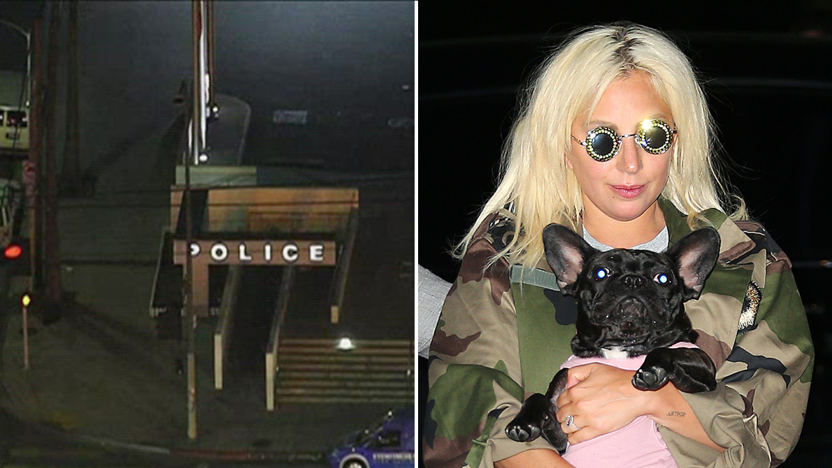 Man Ordered to Stand Trial in Shooting of Lady Gaga’s Dog Walker NBC Los Angeles