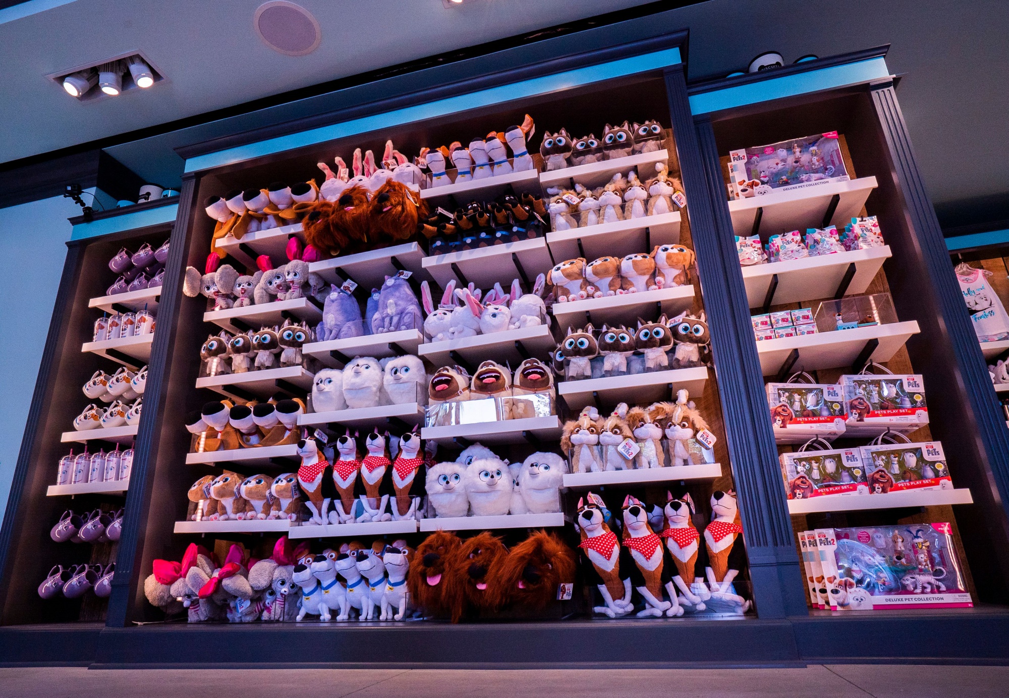 hollywood pets store