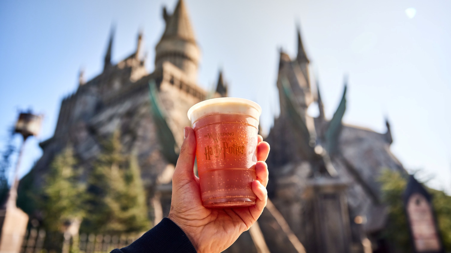 "Taste of Universal" opens at Universal Studios Hollywood on Friday, March 12. Lands such as Hogsmeade Village will be open for socially distanced strolling and shopping.