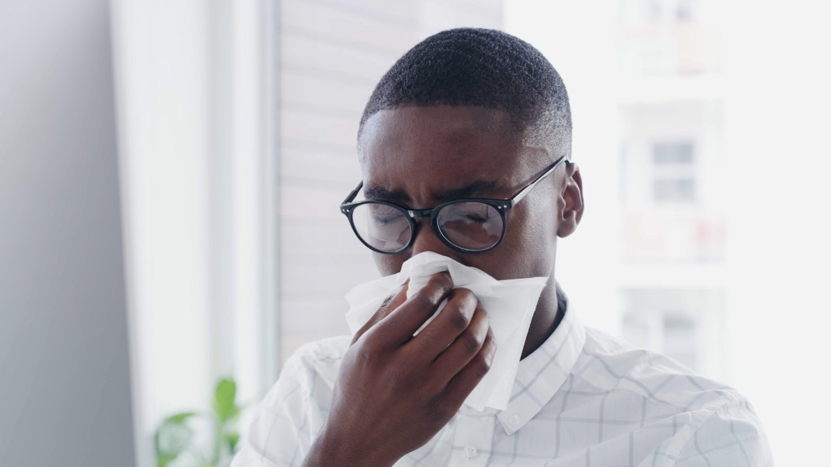 Why Do We Get Allergies and How to Feel Better Faster NBC Los Angeles