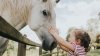What would you name your racehorse? Try our name generator